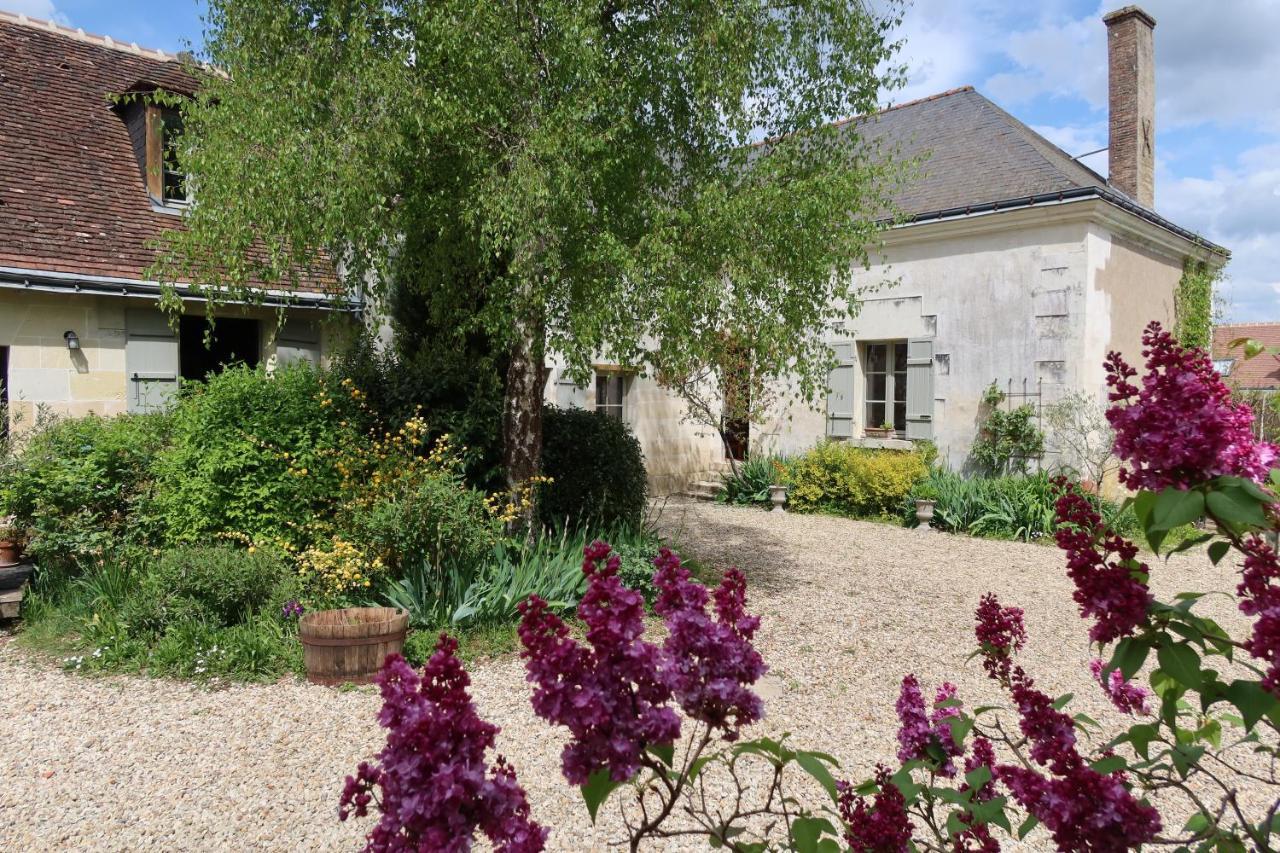Pres Des Chateaux De La Loire Et Du Zoo De Beauval Céré-la-Ronde Exterior foto